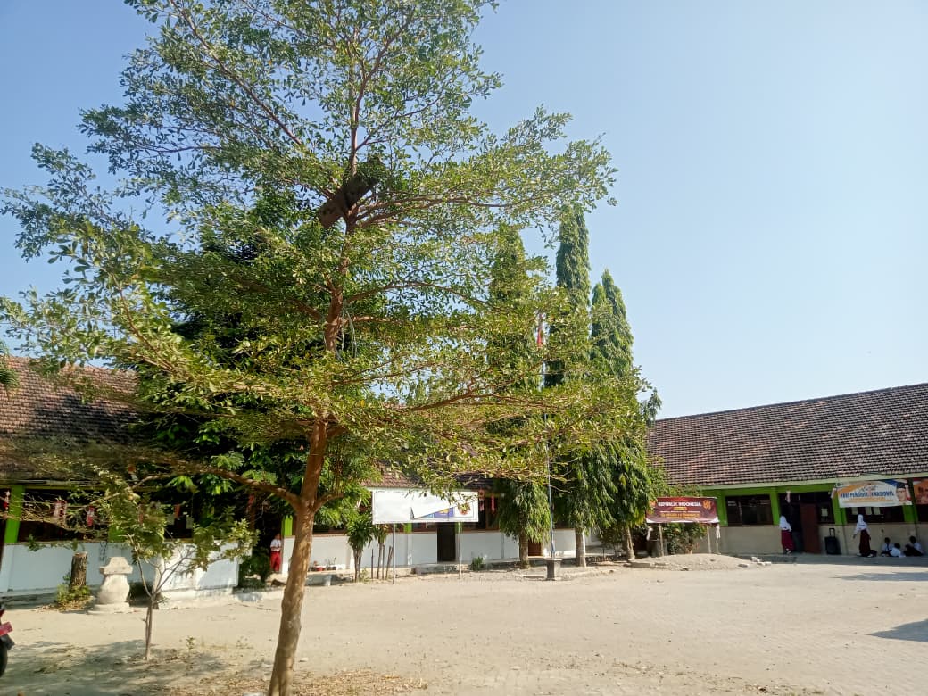 Foto SD NEGERI KEDUNGREJO